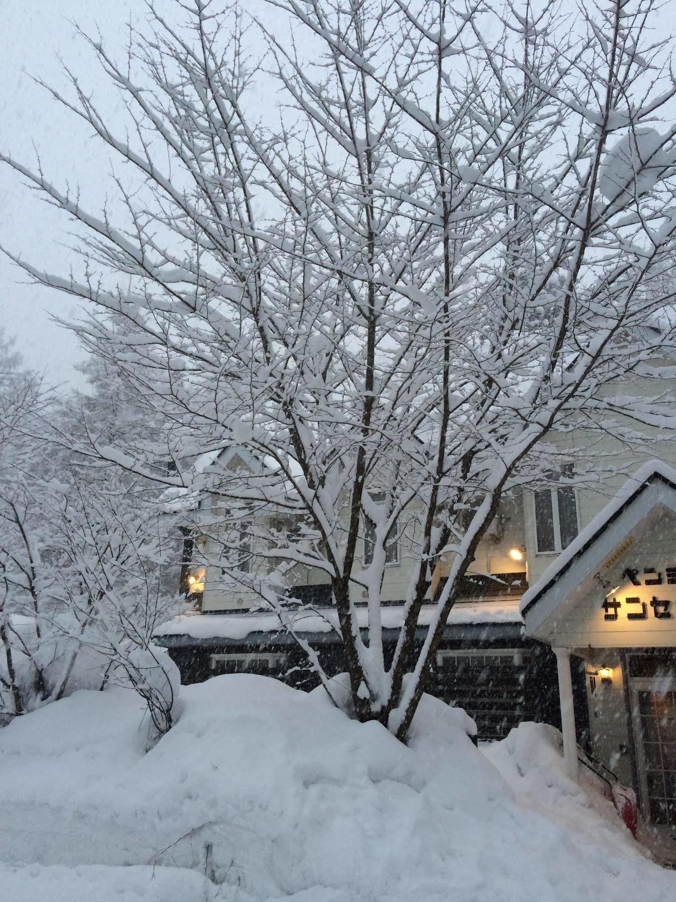 B&B Sunset Inn Hakuba Exterior foto